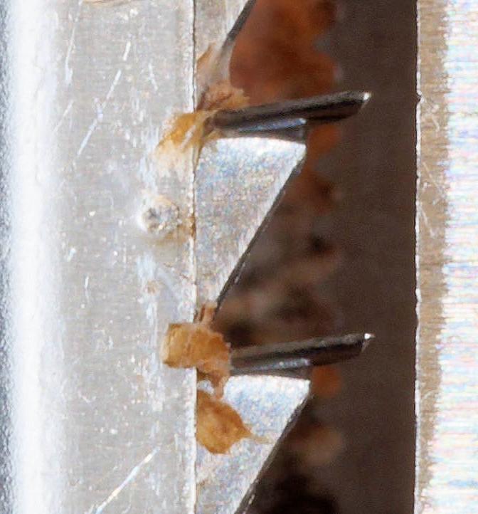 https://lemis.nyc3.digitaloceanspaces.com/grog/Photos/20260719/big/Julienne-slicer-1-detail-2.jpeg