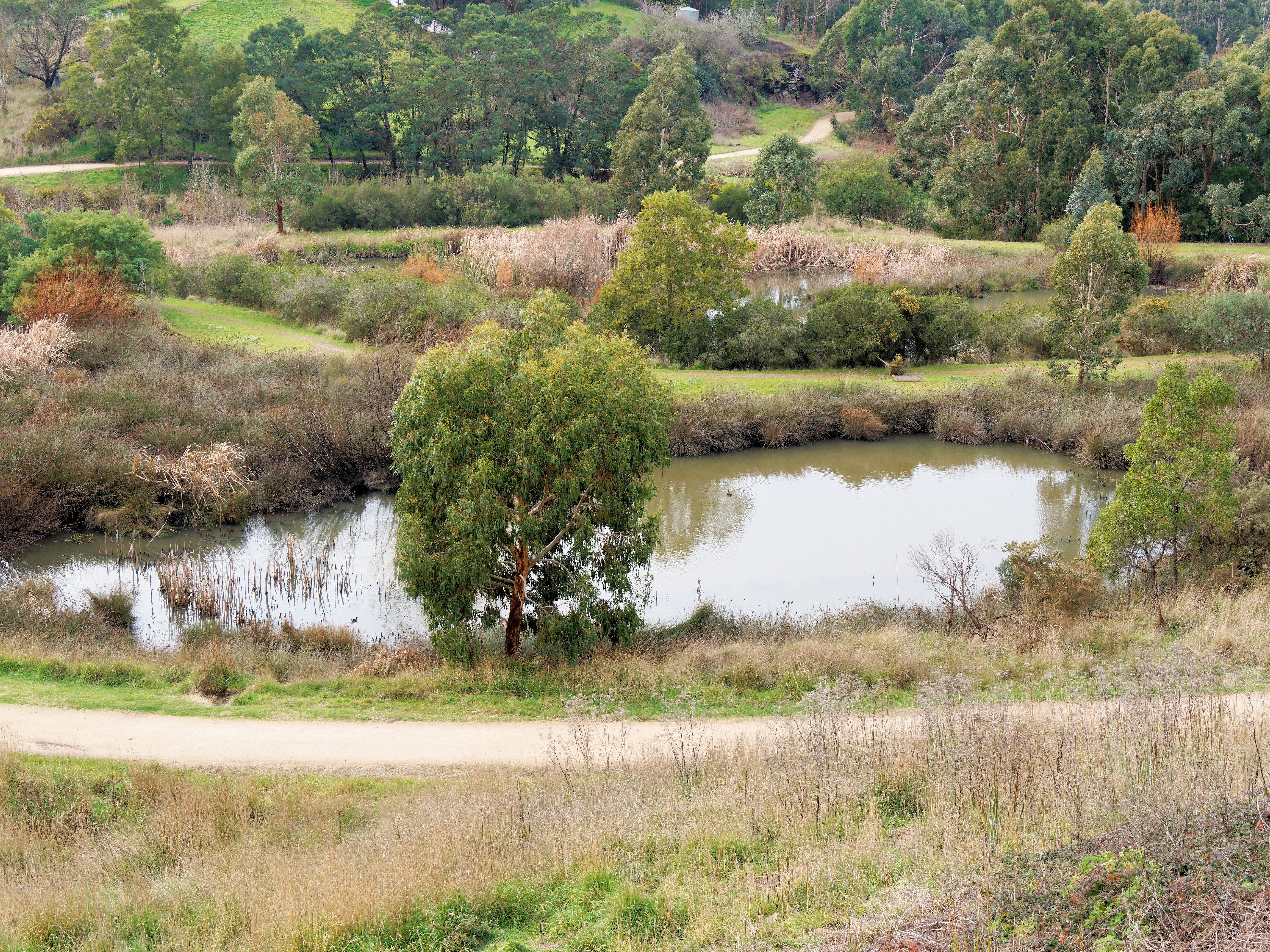 https://lemis.nyc3.digitaloceanspaces.com/grog/Photos/20260721/big/Redan-wetlands-2.jpeg