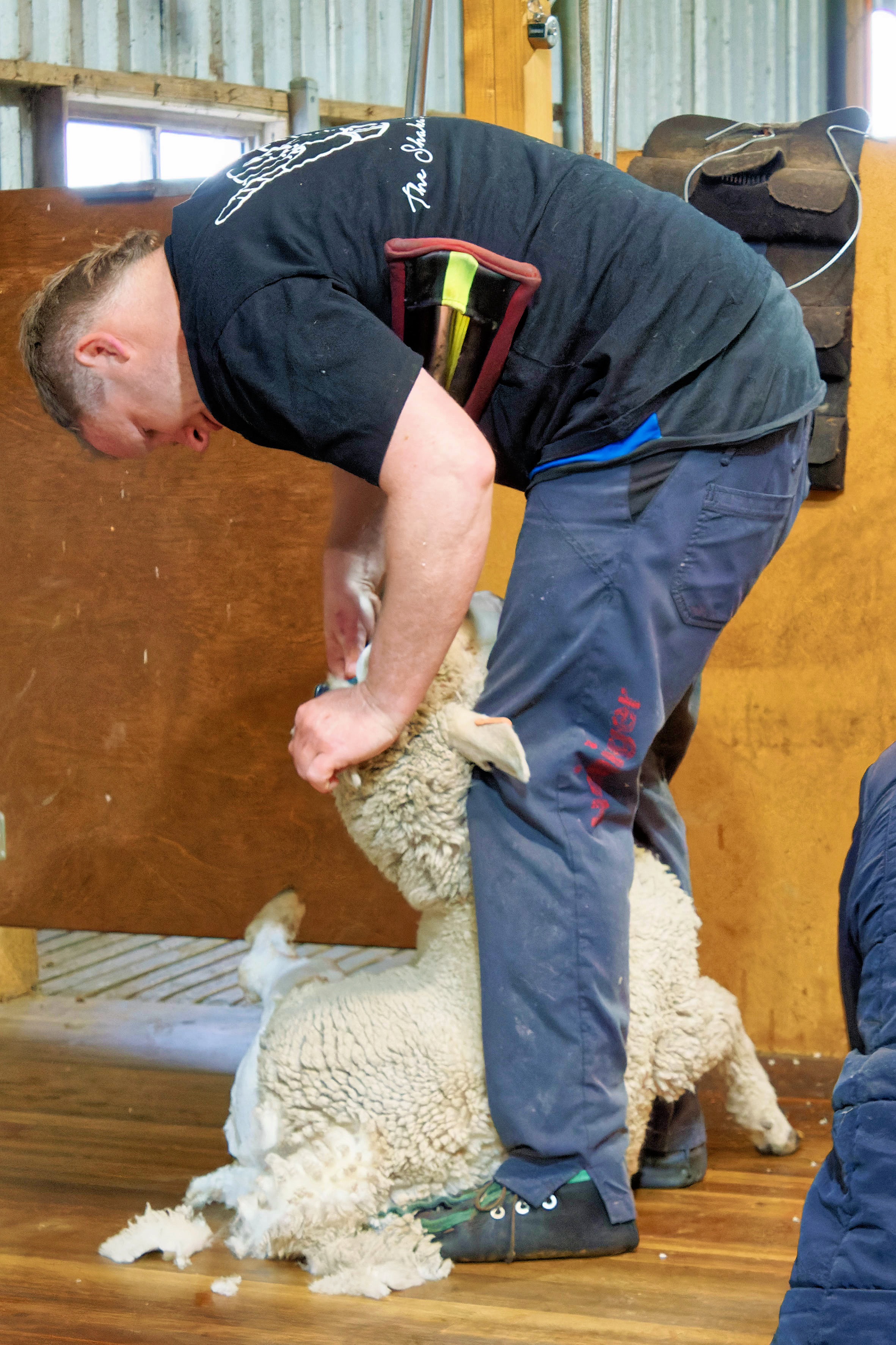 https://lemis.nyc3.digitaloceanspaces.com/grog/Photos/20260724/big/Shearing-2.jpeg