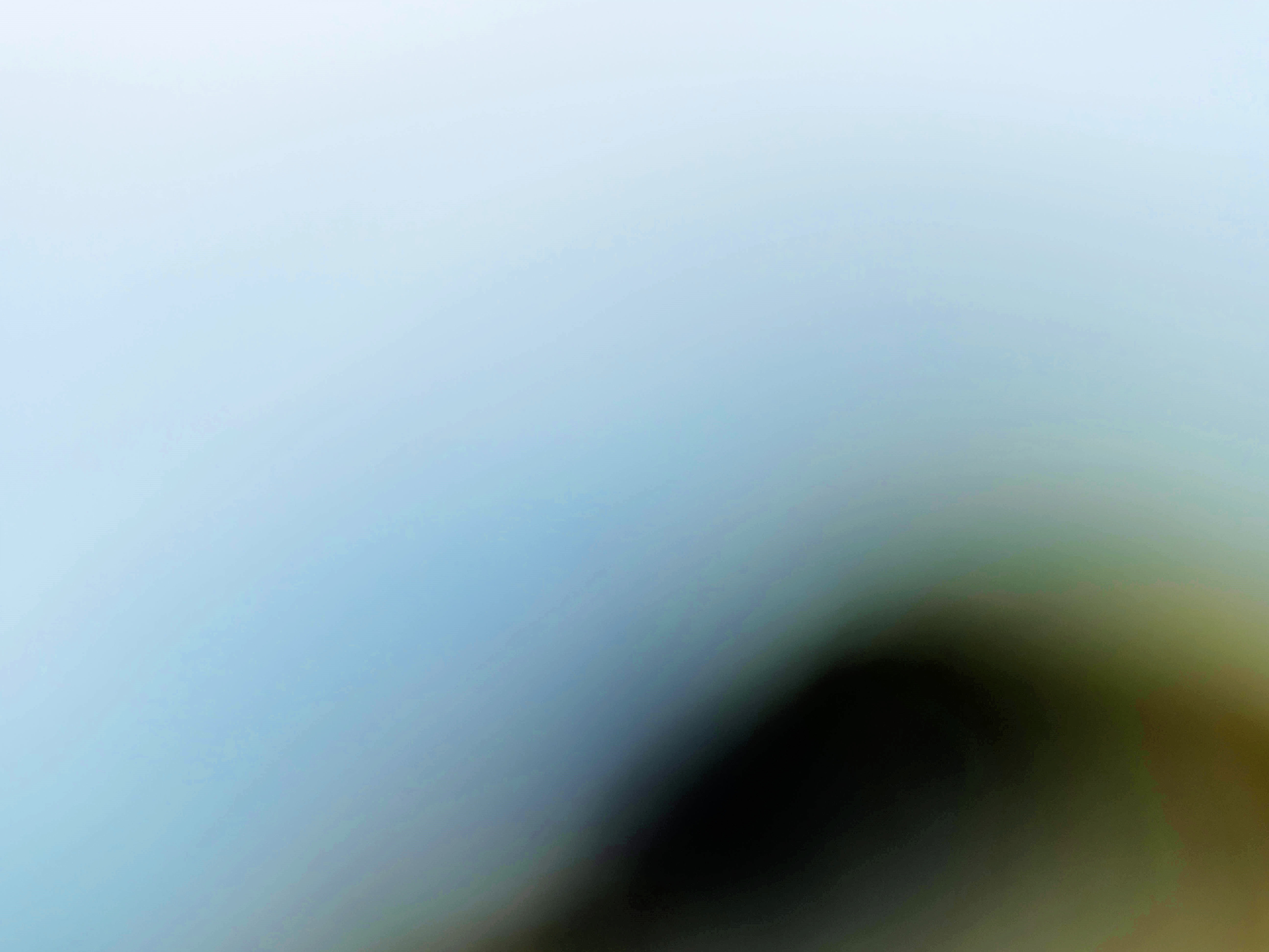 https://lemis.nyc3.digitaloceanspaces.com/grog/Photos/20260729/big/Birding-78.jpeg
