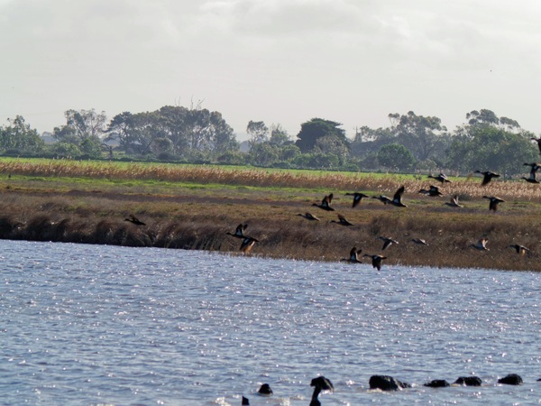 https://lemis.nyc3.digitaloceanspaces.com/grog/Photos/20260729/small/Birding-210.jpeg