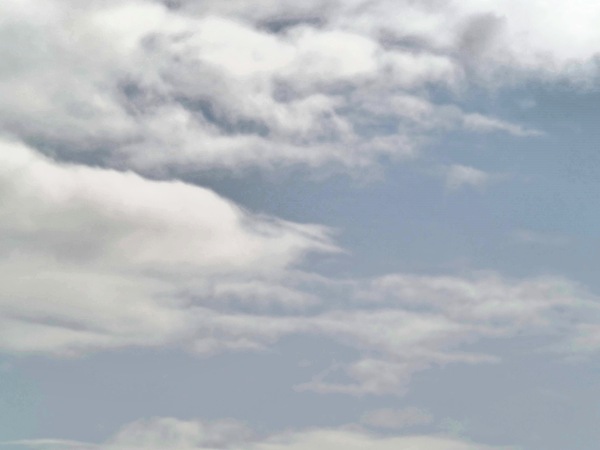 https://lemis.nyc3.digitaloceanspaces.com/grog/Photos/20260729/small/Birding-212.jpeg