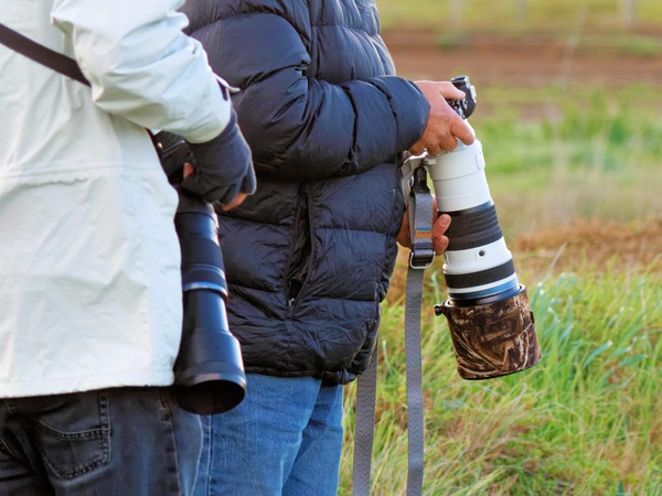 https://lemis.nyc3.digitaloceanspaces.com/grog/Photos/20260729/small/Birding-22.jpeg