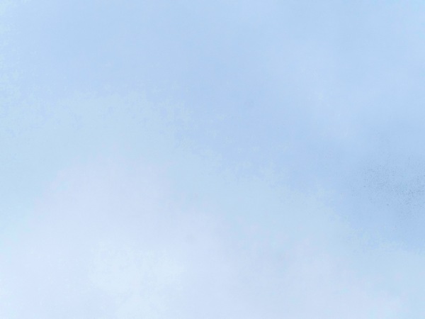 https://lemis.nyc3.digitaloceanspaces.com/grog/Photos/20260729/small/Birding-53.jpeg