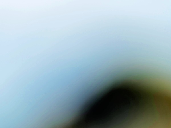 https://lemis.nyc3.digitaloceanspaces.com/grog/Photos/20260729/small/Birding-78.jpeg