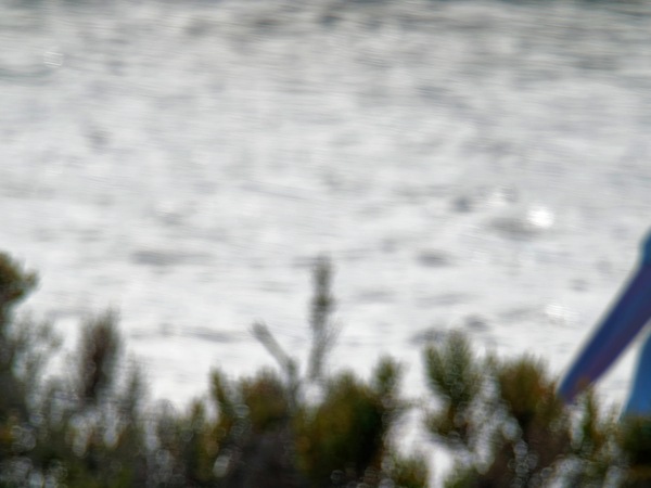 https://lemis.nyc3.digitaloceanspaces.com/grog/Photos/20260729/small/Birding-79.jpeg