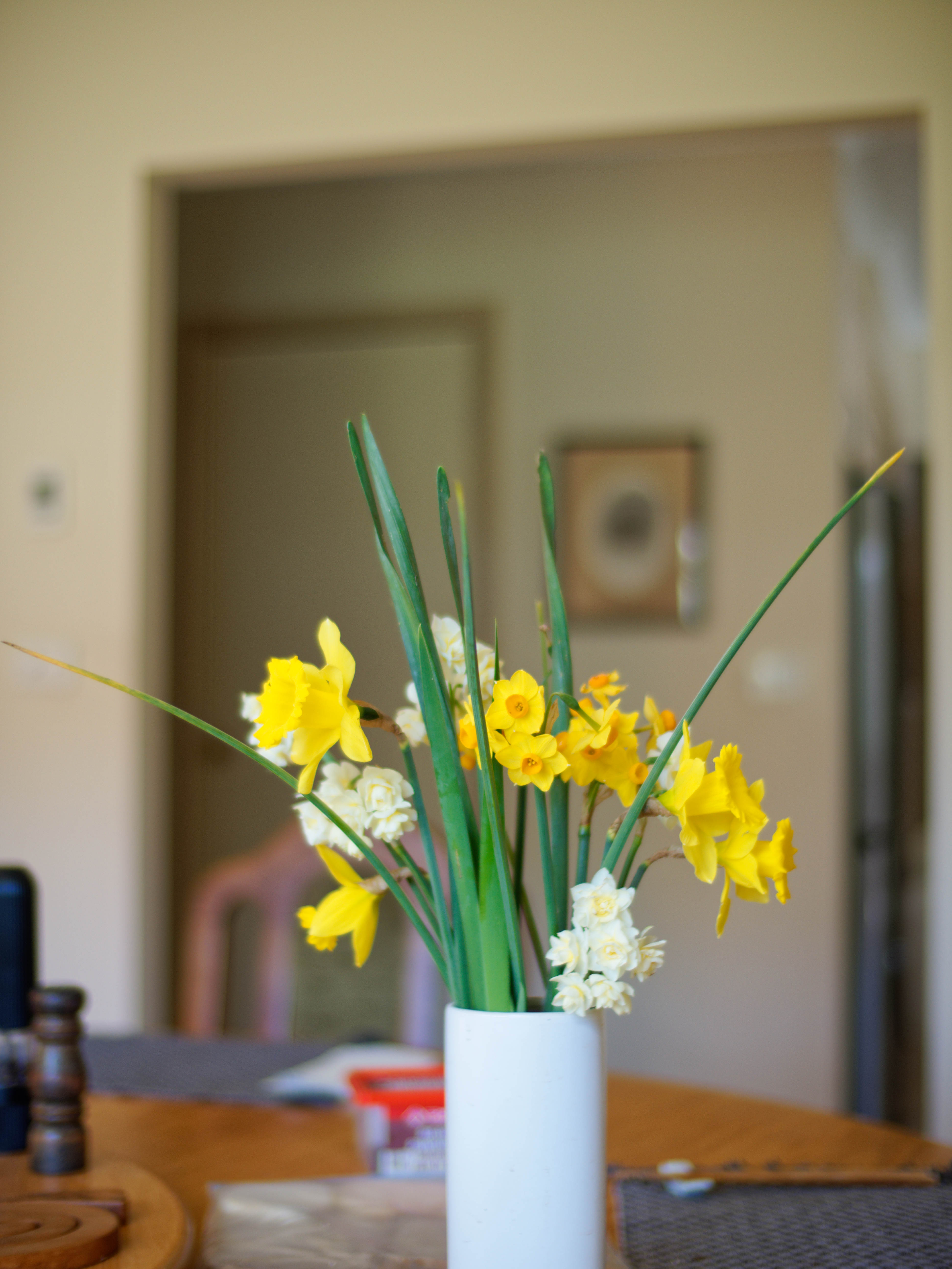 https://lemis.nyc3.digitaloceanspaces.com/grog/Photos/20260803/big/Spring-flowers-1.jpeg