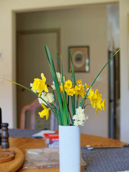 https://lemis.nyc3.digitaloceanspaces.com/grog/Photos/20260803/small/Spring-flowers-2.jpeg