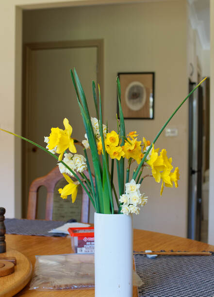 https://lemis.nyc3.digitaloceanspaces.com/grog/Photos/20260803/small/Spring-flowers-3.jpeg