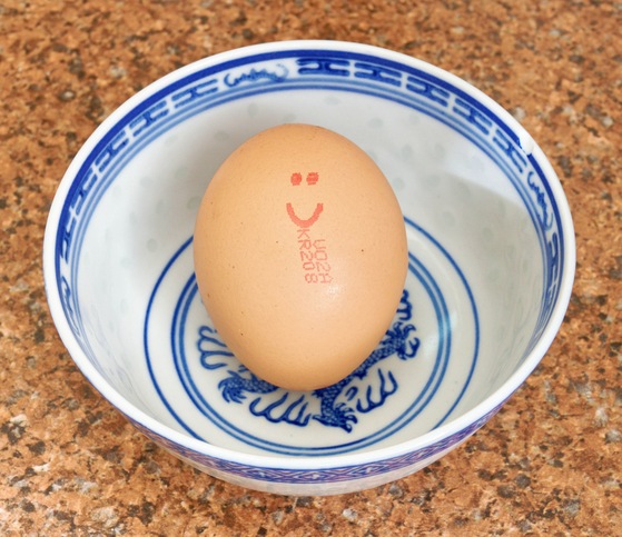 https://lemis.nyc3.digitaloceanspaces.com/grog/Photos/20260818/small/Egg.jpeg