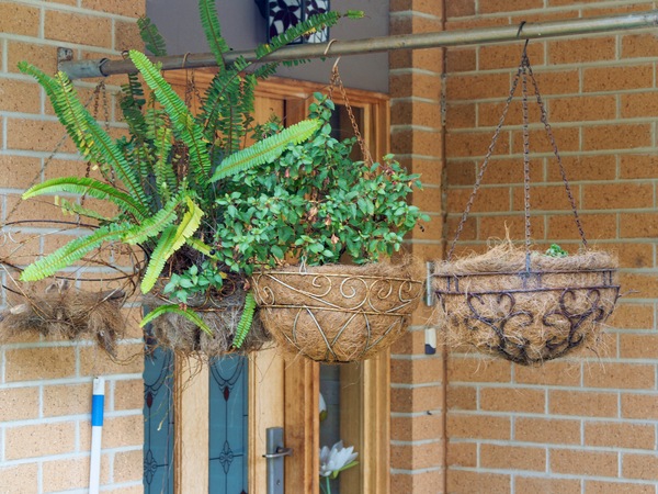 https://lemis.nyc3.digitaloceanspaces.com/grog/Photos/20260823/small/Hanging-baskets.jpeg