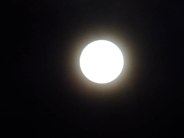 https://lemis.nyc3.digitaloceanspaces.com/grog/Photos/20260828/small/Moon-1.jpeg