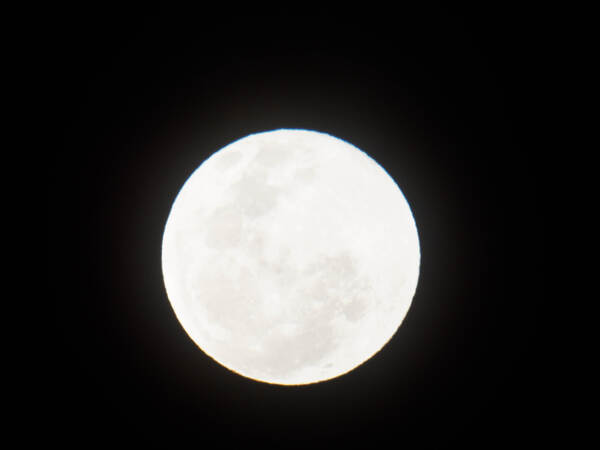 https://lemis.nyc3.digitaloceanspaces.com/grog/Photos/20260828/small/Moon-2.jpeg