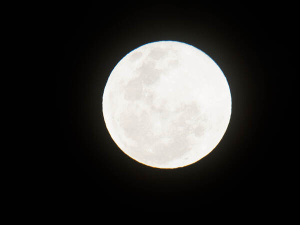 https://lemis.nyc3.digitaloceanspaces.com/grog/Photos/20260828/small/Moon-4.jpeg