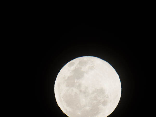 https://lemis.nyc3.digitaloceanspaces.com/grog/Photos/20260828/small/Moon-5.jpeg