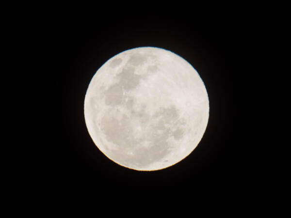 https://lemis.nyc3.digitaloceanspaces.com/grog/Photos/20260828/small/Moon-6.jpeg