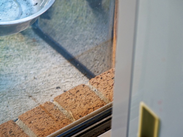 https://lemis.nyc3.digitaloceanspaces.com/grog/Photos/20260828/small/Superb-fairy-wren-158.jpeg
