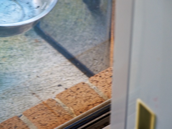 https://lemis.nyc3.digitaloceanspaces.com/grog/Photos/20260828/small/Superb-fairy-wren-162.jpeg