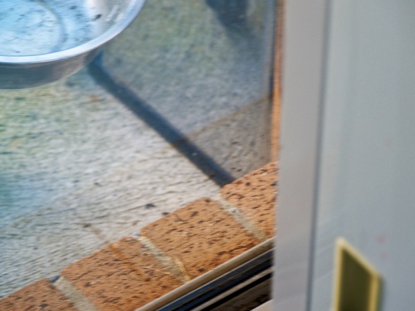 https://lemis.nyc3.digitaloceanspaces.com/grog/Photos/20260828/small/Superb-fairy-wren-163.jpeg