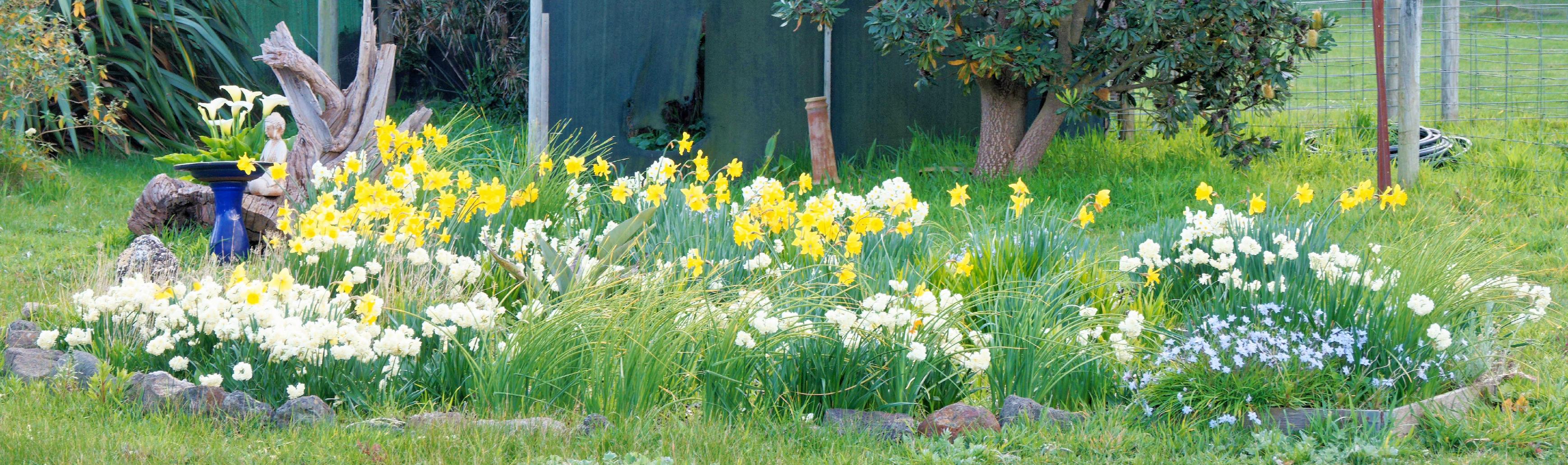 https://lemis.nyc3.digitaloceanspaces.com/grog/Photos/20260903/big/Garden-flowers-detail.jpeg