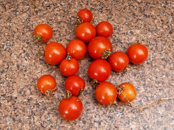 https://lemis.nyc3.digitaloceanspaces.com/grog/Photos/20260904/small/Tomatoes-2.jpeg