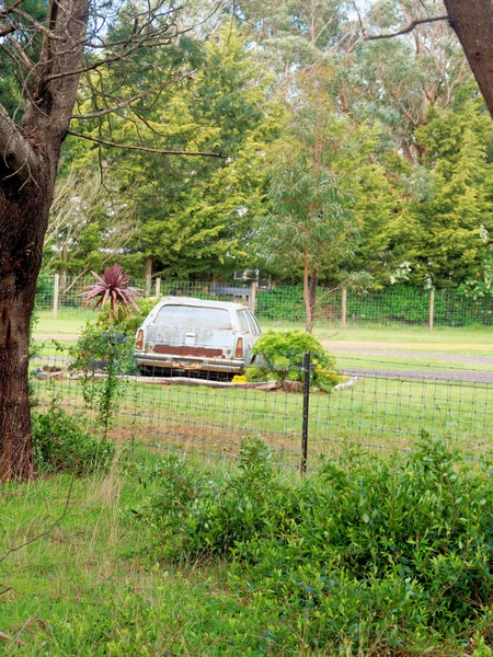https://lemis.nyc3.digitaloceanspaces.com/grog/Photos/20260905/small/Car-garden-2.jpeg