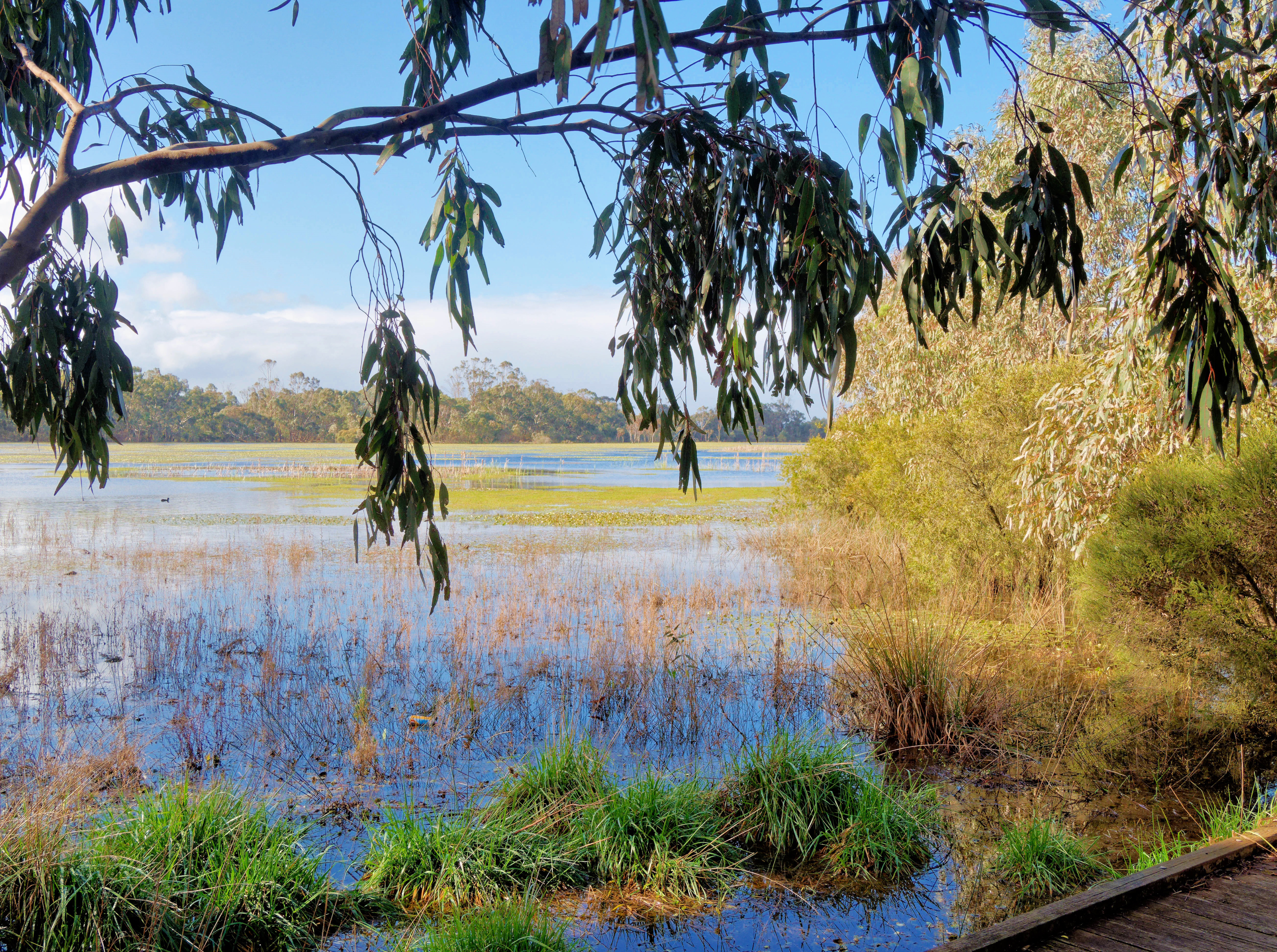 https://lemis.nyc3.digitaloceanspaces.com/grog/Photos/20260915/big/Mullawallah-wetlands-1.jpeg