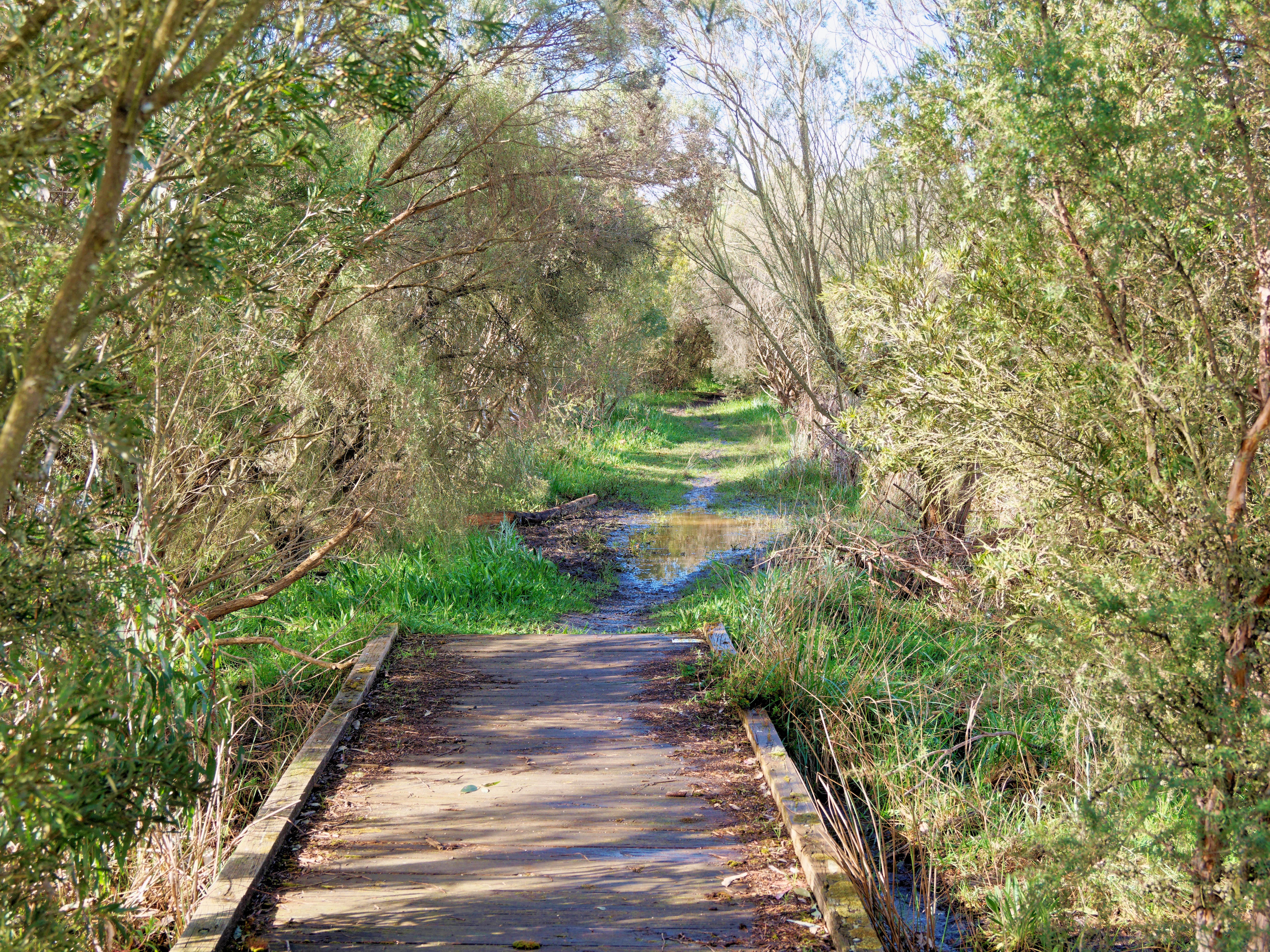 https://lemis.nyc3.digitaloceanspaces.com/grog/Photos/20260915/big/Mullawallah-wetlands-2.jpeg