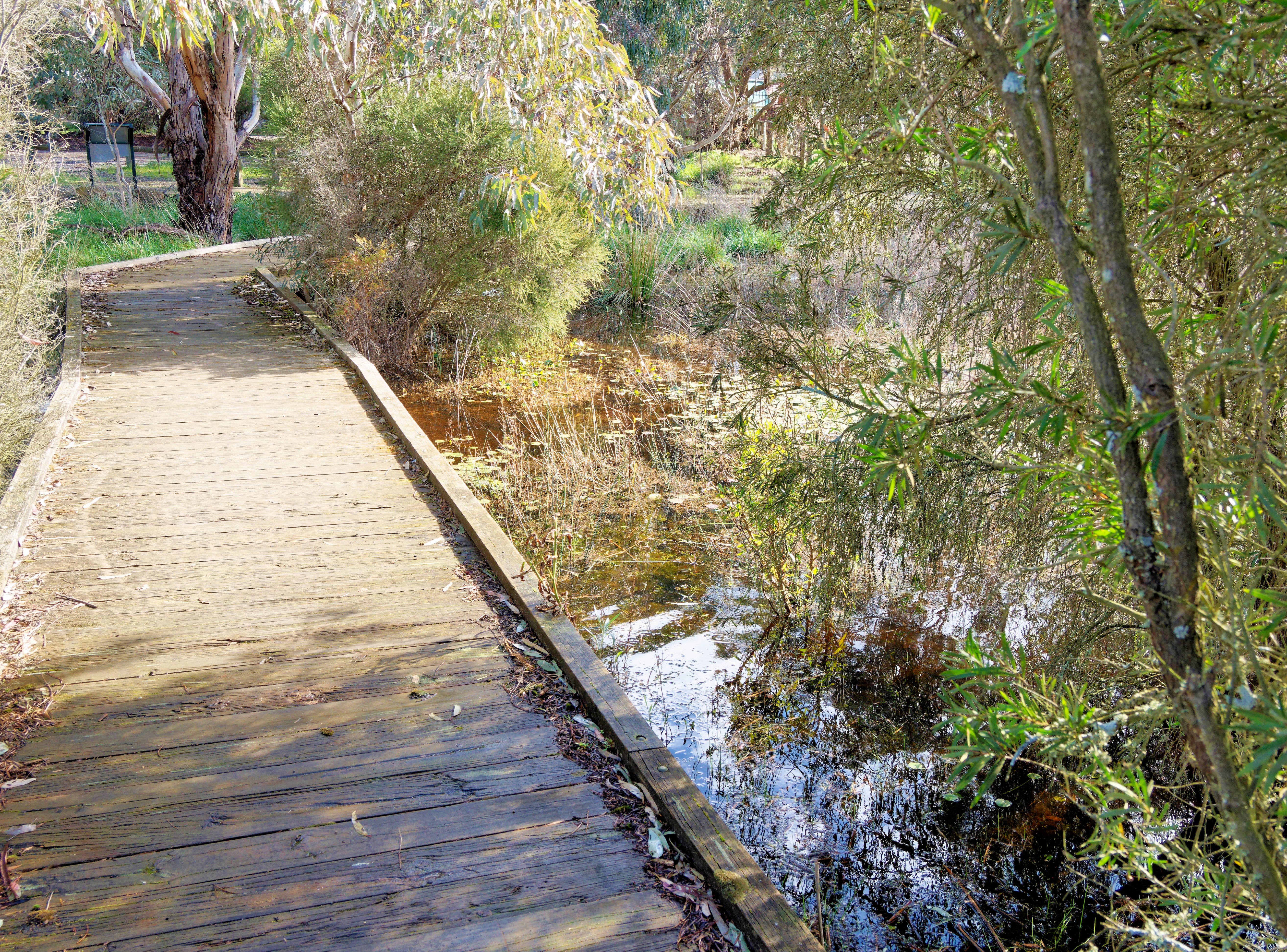 https://lemis.nyc3.digitaloceanspaces.com/grog/Photos/20260915/big/Mullawallah-wetlands-3.jpeg