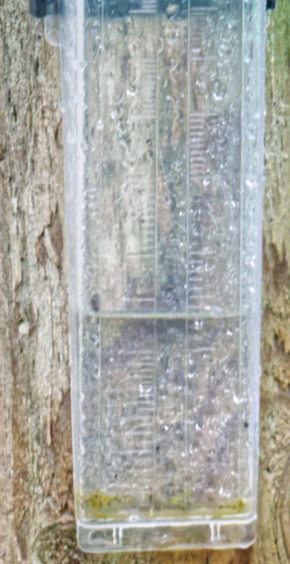 https://lemis.nyc3.digitaloceanspaces.com/grog/Photos/20261003/big/Rain-gauge-1-detail.jpeg
