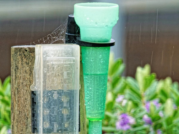 https://lemis.nyc3.digitaloceanspaces.com/grog/Photos/20261003/small/Rain-gauge-2.jpeg