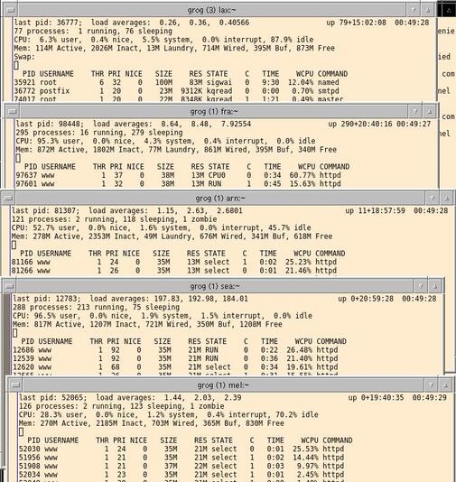 https://lemis.nyc3.digitaloceanspaces.com/grog/Photos/20261008/small/Web-server-load.jpeg