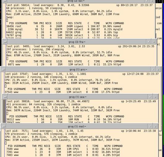 https://lemis.nyc3.digitaloceanspaces.com/grog/Photos/20261009/small/Web-server-load.jpeg