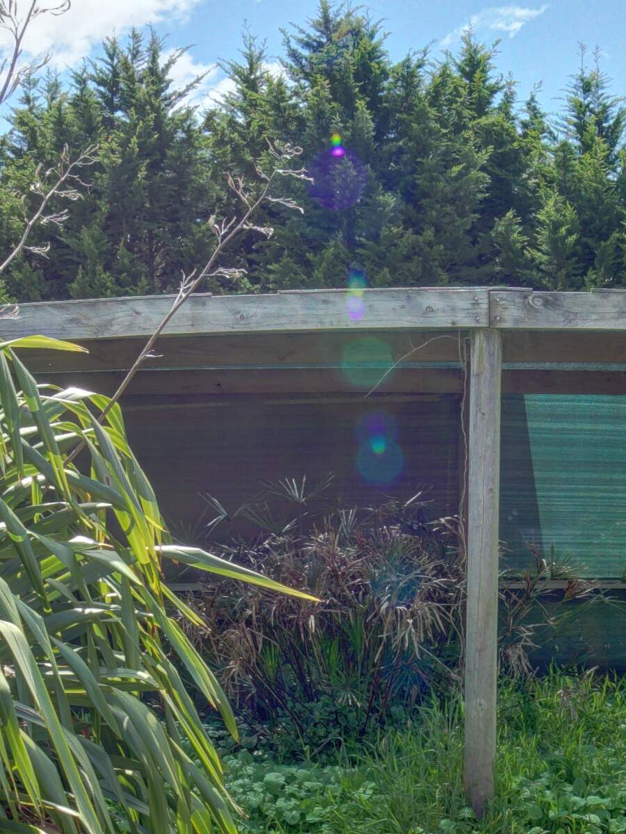 https://lemis.nyc3.digitaloceanspaces.com/grog/Photos/20261010/big/garden-nw-0-detail.jpeg