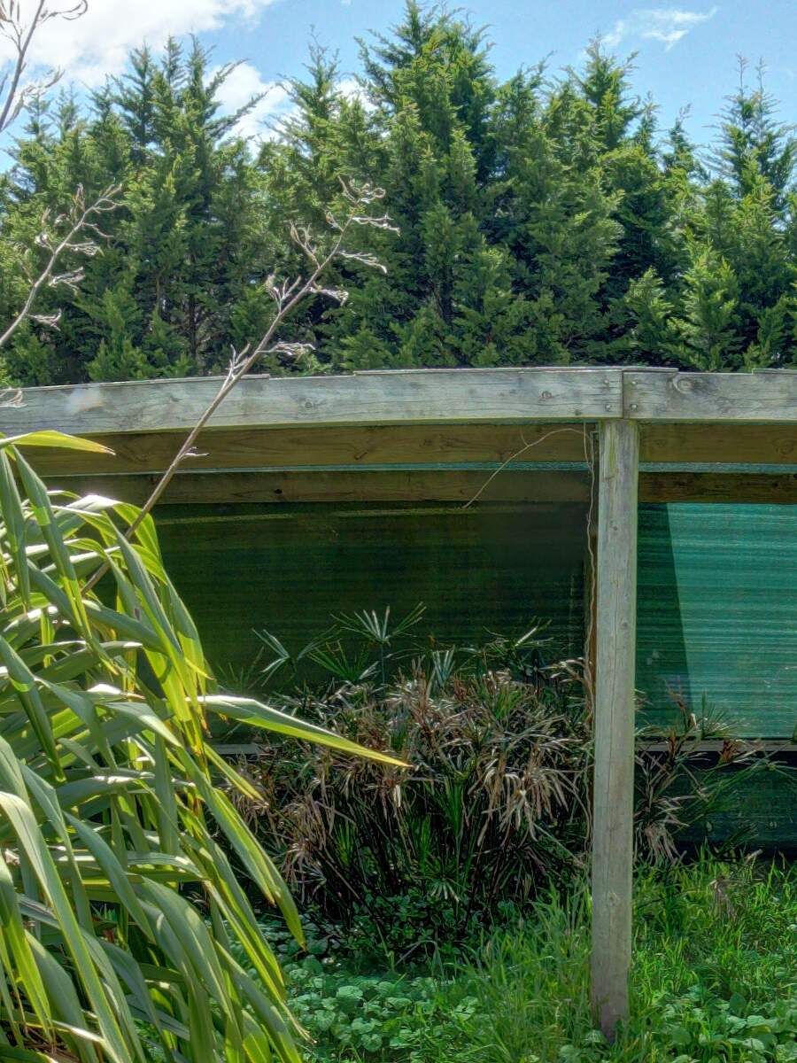 https://lemis.nyc3.digitaloceanspaces.com/grog/Photos/20261010/big/garden-nw-1-detail.jpeg