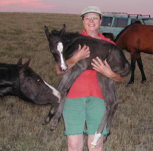 https://lemis.nyc3.digitaloceanspaces.com/yvonne/Photos/20021222/small/foal1.jpeg