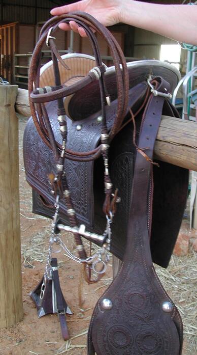 https://lemis.nyc3.digitaloceanspaces.com/yvonne/Photos/20021222/small/saddle6.jpeg