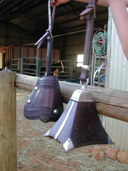 https://lemis.nyc3.digitaloceanspaces.com/yvonne/Photos/20021222/small/stirrups3.jpeg