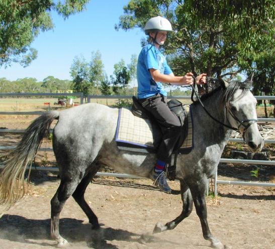 https://lemis.nyc3.digitaloceanspaces.com/yvonne/Photos/20090329/small/riding-Carlos-18.jpeg