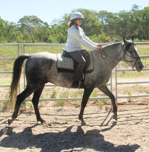 https://lemis.nyc3.digitaloceanspaces.com/yvonne/Photos/20090329/small/riding-Carlos-2.jpeg
