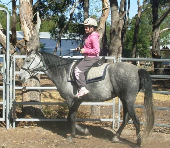 https://lemis.nyc3.digitaloceanspaces.com/yvonne/Photos/20090329/small/riding-Carlos-24.jpeg
