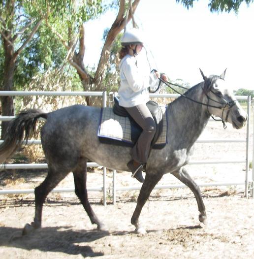 https://lemis.nyc3.digitaloceanspaces.com/yvonne/Photos/20090329/small/riding-Carlos-6.jpeg
