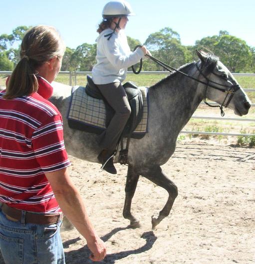 https://lemis.nyc3.digitaloceanspaces.com/yvonne/Photos/20090329/small/riding-Carlos-7.jpeg