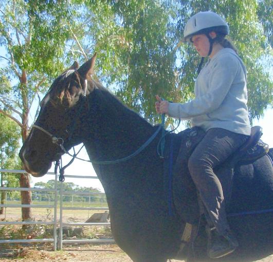 https://lemis.nyc3.digitaloceanspaces.com/yvonne/Photos/20090329/small/riding-Flamenca-36.jpeg