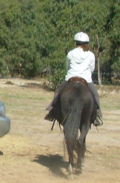 https://lemis.nyc3.digitaloceanspaces.com/yvonne/Photos/20090329/small/riding-Flamenca-42.jpeg