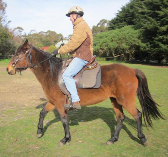 https://lemis.nyc3.digitaloceanspaces.com/yvonne/Photos/20120708/small/riding-the-new-addition.jpeg