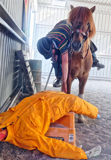 https://lemis.nyc3.digitaloceanspaces.com/yvonne/Photos/20180309/small/Riding-fun-19.jpeg