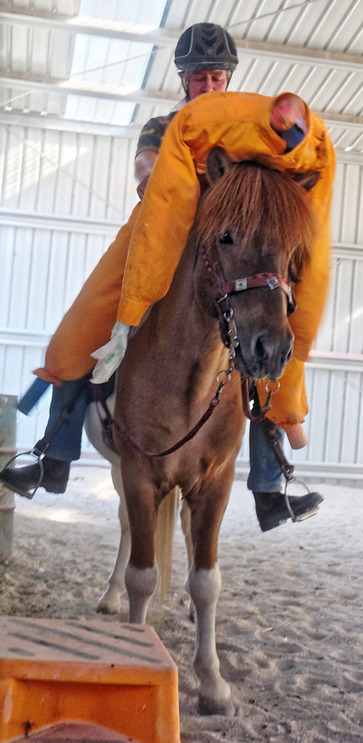 https://lemis.nyc3.digitaloceanspaces.com/yvonne/Photos/20180309/small/Riding-fun-21.jpeg