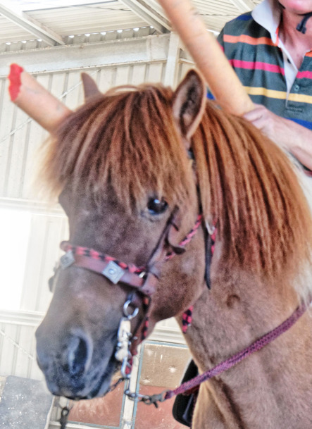 https://lemis.nyc3.digitaloceanspaces.com/yvonne/Photos/20180309/small/Riding-fun-33.jpeg