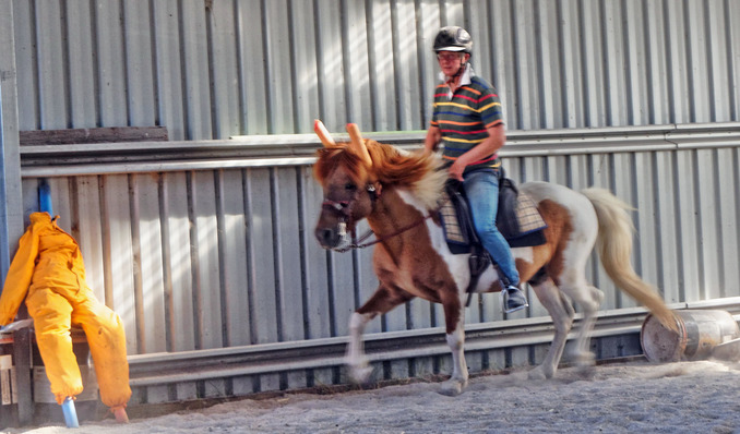 https://lemis.nyc3.digitaloceanspaces.com/yvonne/Photos/20180309/small/Riding-fun-41.jpeg